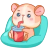 Hámster 2 🐹 MOV. 🇲🇽 6