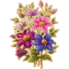 FLORES BONITAS 5