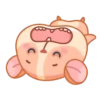 Hámster 2 🐹 MOV. 🇲🇽 7