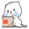 Gatito tierno 5