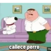 callece perro Ma