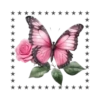 Mariposas🦋4🇨🇷Movi 8