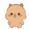 🤎Capibara 1 MOV.🤎 6