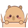 🤎Capibara 1 MOV.🤎 7