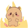 🤎Capibara 1 MOV.🤎 8