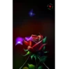 🌷ᑲeᥲᥙtіfᥙᥣ fᥣ᥆ᥕers 💐 5