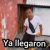 Ya llegaron