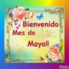 ? Bienvenido Mayo ? 5