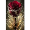 🌷ᑲeᥲᥙtіfᥙᥣ fᥣ᥆ᥕers 💐 6
