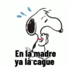 En la madre ya la cague
