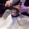 Monkeys in motion 7