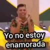 Yo no estoy enamorada