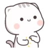 Gatito tierno 9