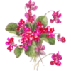 FLORES BONITAS 8