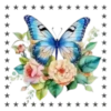 Mariposas🦋4🇨🇷Movi 9