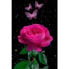 🌷ᑲeᥲᥙtіfᥙᥣ fᥣ᥆ᥕers 💐 9
