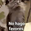 No hago favores