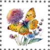 Mariposas🦋4🇨🇷Movi 10