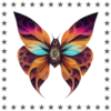 Mariposas🦋4🇨🇷Movi 11