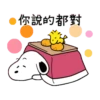 你說的都對