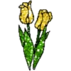 FLORES BONITAS 9