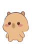 🤎Capibara 1 MOV.🤎 10