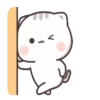 Gatito tierno 12