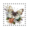 Mariposas🦋4🇨🇷Movi 12