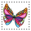 Mariposas🦋4🇨🇷Movi 13