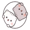 Gatito tierno 13