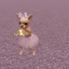 🪩 Bailes de TikTok 🙊 6