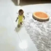 Monkeys in motion 10
