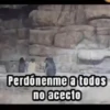 Perdónenme no acepto 😎 16