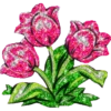 FLORES BONITAS 11