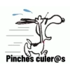Pinches culer@s