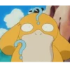 Pokemon 6