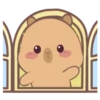 🤎Capibara 1 MOV.🤎 11