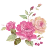 FLORES BONITAS 12