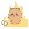 🤎Capibara 1 MOV.🤎 12
