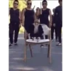 Monkeys in motion 17