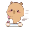🤎Capibara 1 MOV.🤎 14