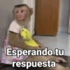 Esperando tu respuesta