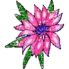 FLORES BONITAS 13