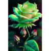 🌷ᑲeᥲᥙtіfᥙᥣ fᥣ᥆ᥕers 💐 16