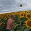 Turkish Meme & Public Meme 13
