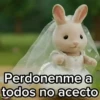 ❌Perdonenme no acepto👰 14