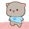MOCHIS🐈CAT Especial IV MOV 11