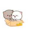 MOCHIS🐈CAT Especial IV MOV 12