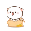 MOCHIS🐈CAT Especial IV MOV 13