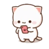 MOCHIS🐈CAT Especial IV MOV 14
